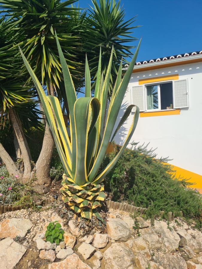 Casa Ensolarada B&B And Pottery ألخيزور المظهر الخارجي الصورة