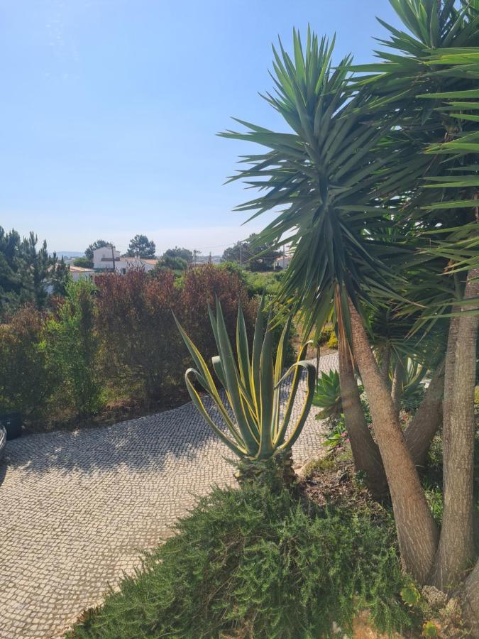 Casa Ensolarada B&B And Pottery ألخيزور المظهر الخارجي الصورة